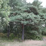 Stallbacken 호텔 나우보