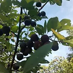 호텔 Stallbacken 나우보