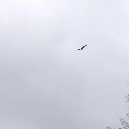 Hotel Stallbacken Nauvo