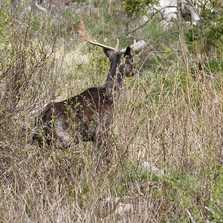 Hotel Stallbacken Nagu