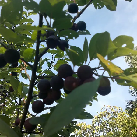 Hotel Stallbacken Nagu