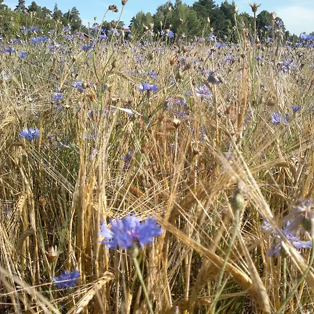 Hotel Stallbacken 4*