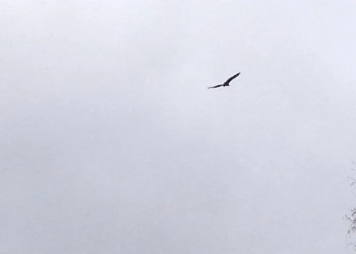 호텔 Stallbacken 나우보