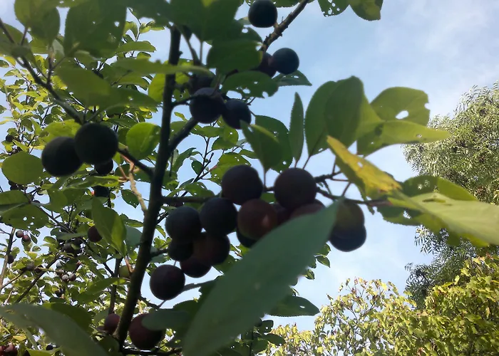 호텔 Stallbacken 나우보